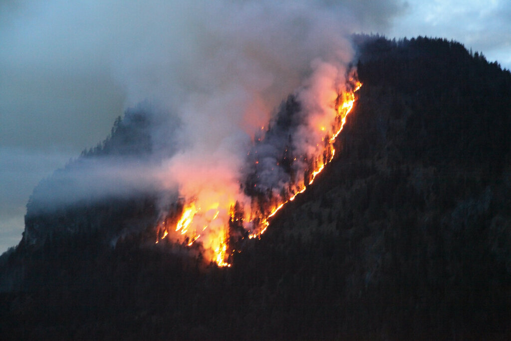© Bayerische Staatsforsten - Die Bilder zeigen den Waldbrand am Falkenberg aus dem Jahr 2011.